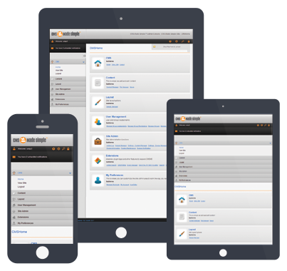 DIVISION OF YOUTH SERVICES